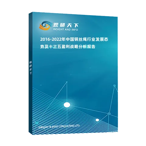 2016-2022年中国钢丝绳行业发展态势及十三五盈利战略分析报告