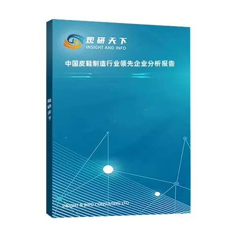 中国皮鞋制造行业领先企业分析报告