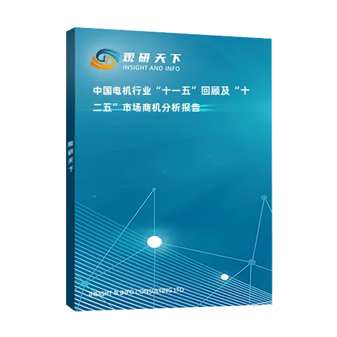 中国电机行业“十一五”回顾及“十二五”市场商机分析报告